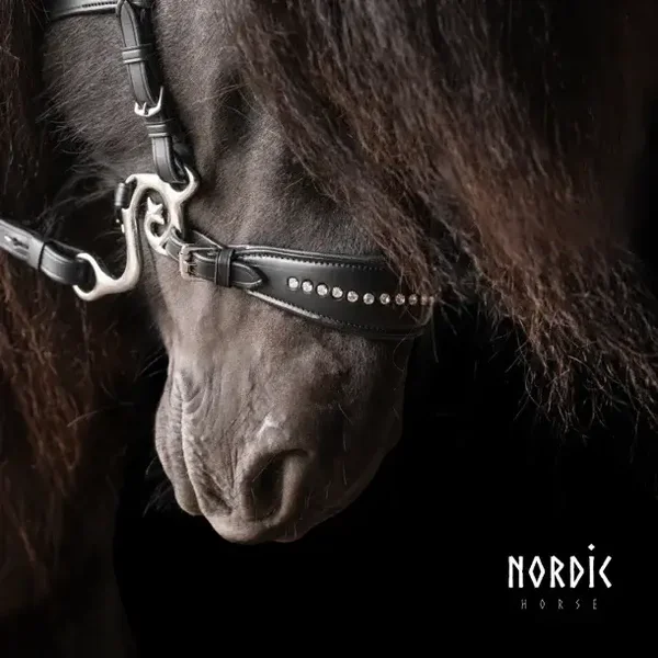 Nordic Horse Hackamore mit Stein