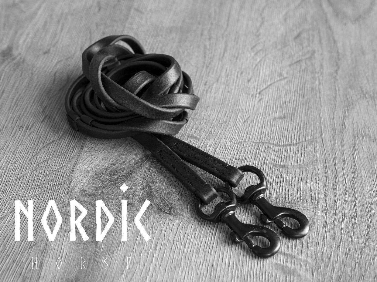 Nordic Horse Biothane Zügel mit Stegen und Karabiner