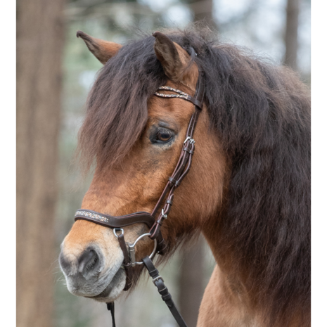 Töltsaga anatomische Trense  ARIS braun