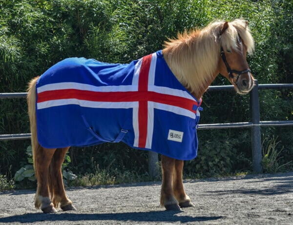 Töltsaga Abschwitzdecke Island