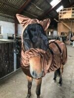 Ice Tack Fliegenmaske für Ekzemdecke