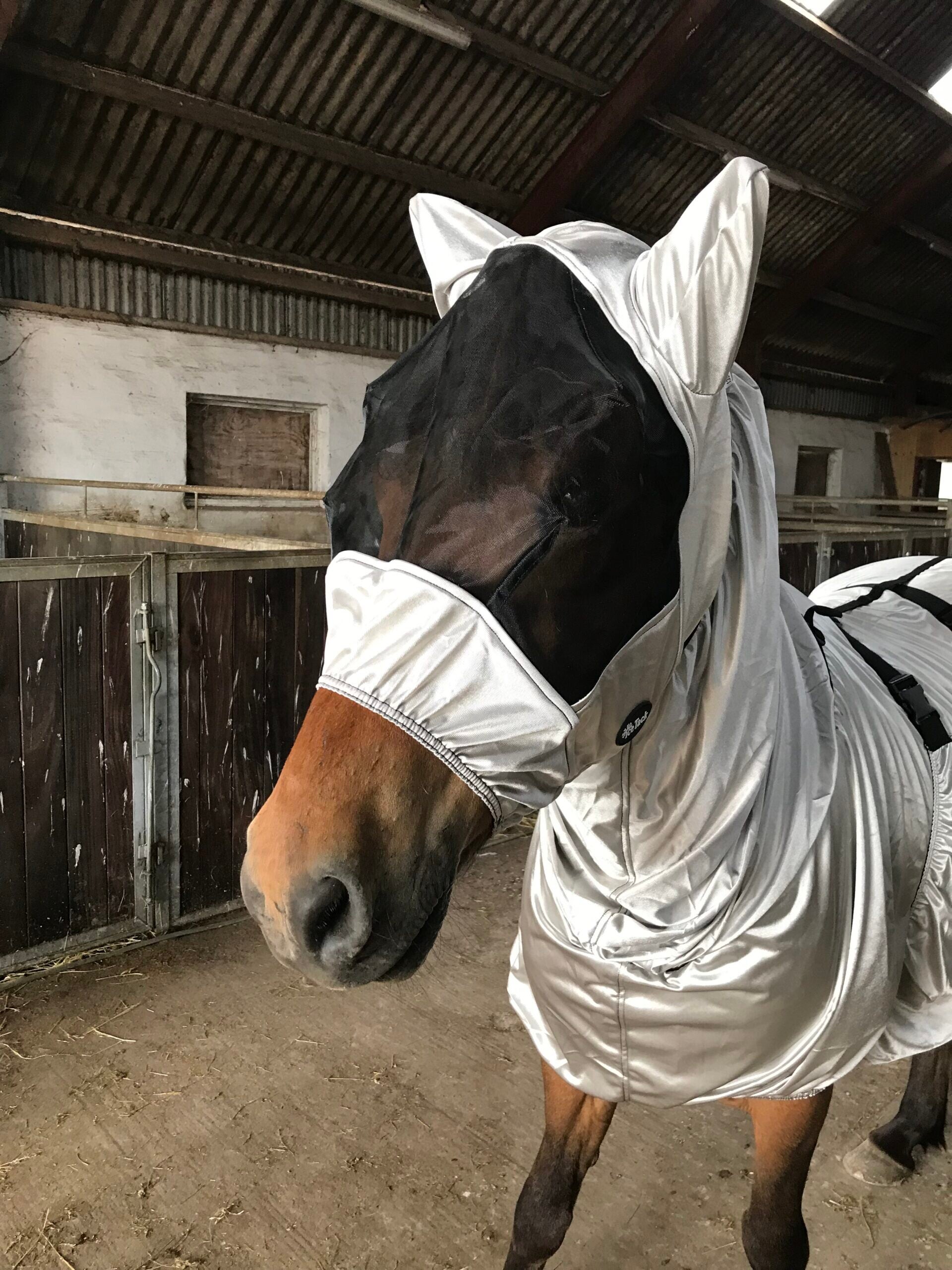 Ice Tack Fliegenmaske für Ekzemdecke