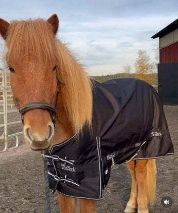 Hestagallery Regendecke Ice Tack