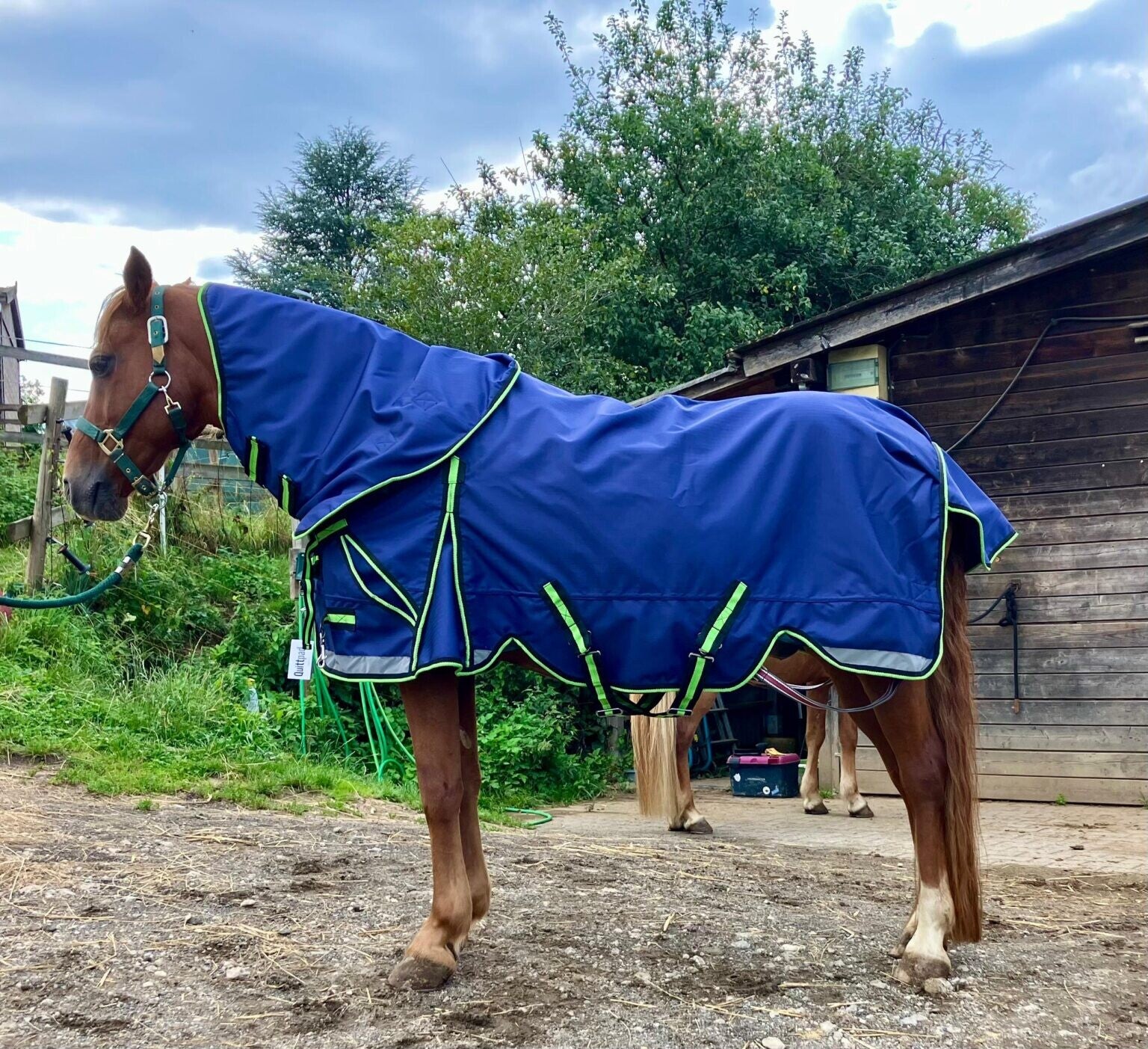 Quittpad Regendecke 3D-Klimakomfort