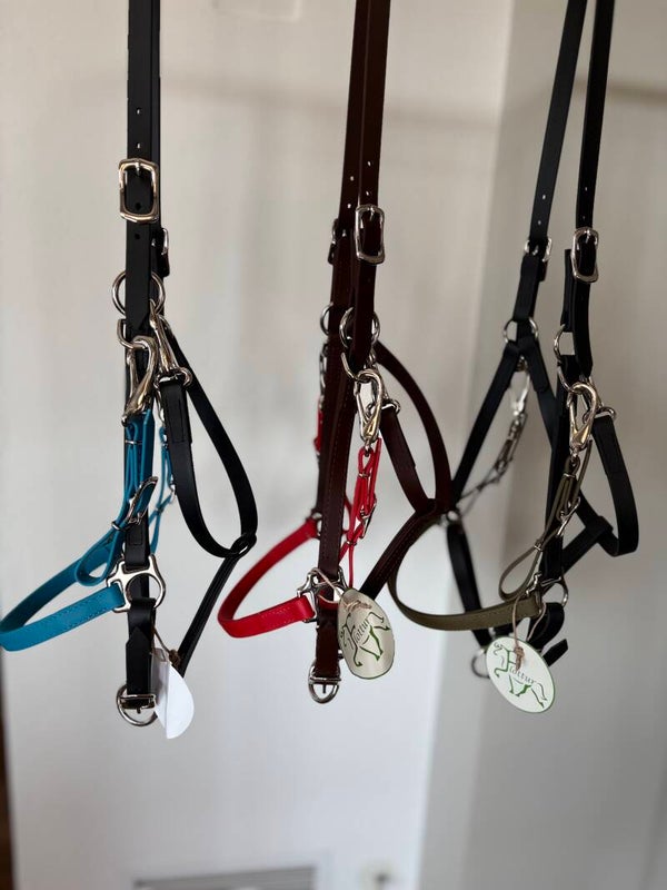 FLOTTUR Wanderreittrense