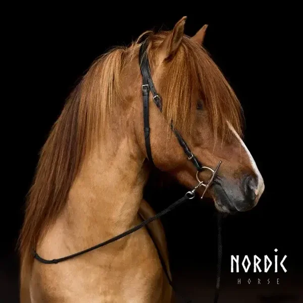 Nordic Horse Kieferriemen Mix and Match