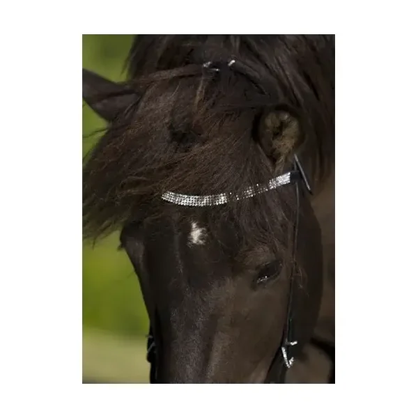 Nordic Horse Kopfstück mit silberfarbenem Stirnriemen