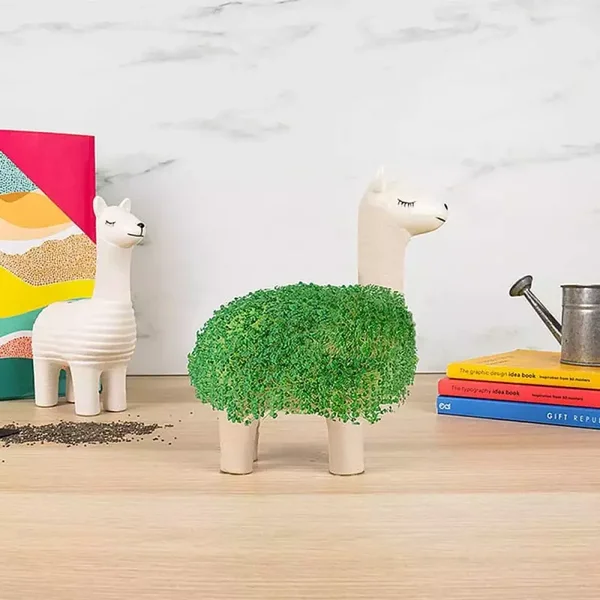 Lama à Faire Pousser