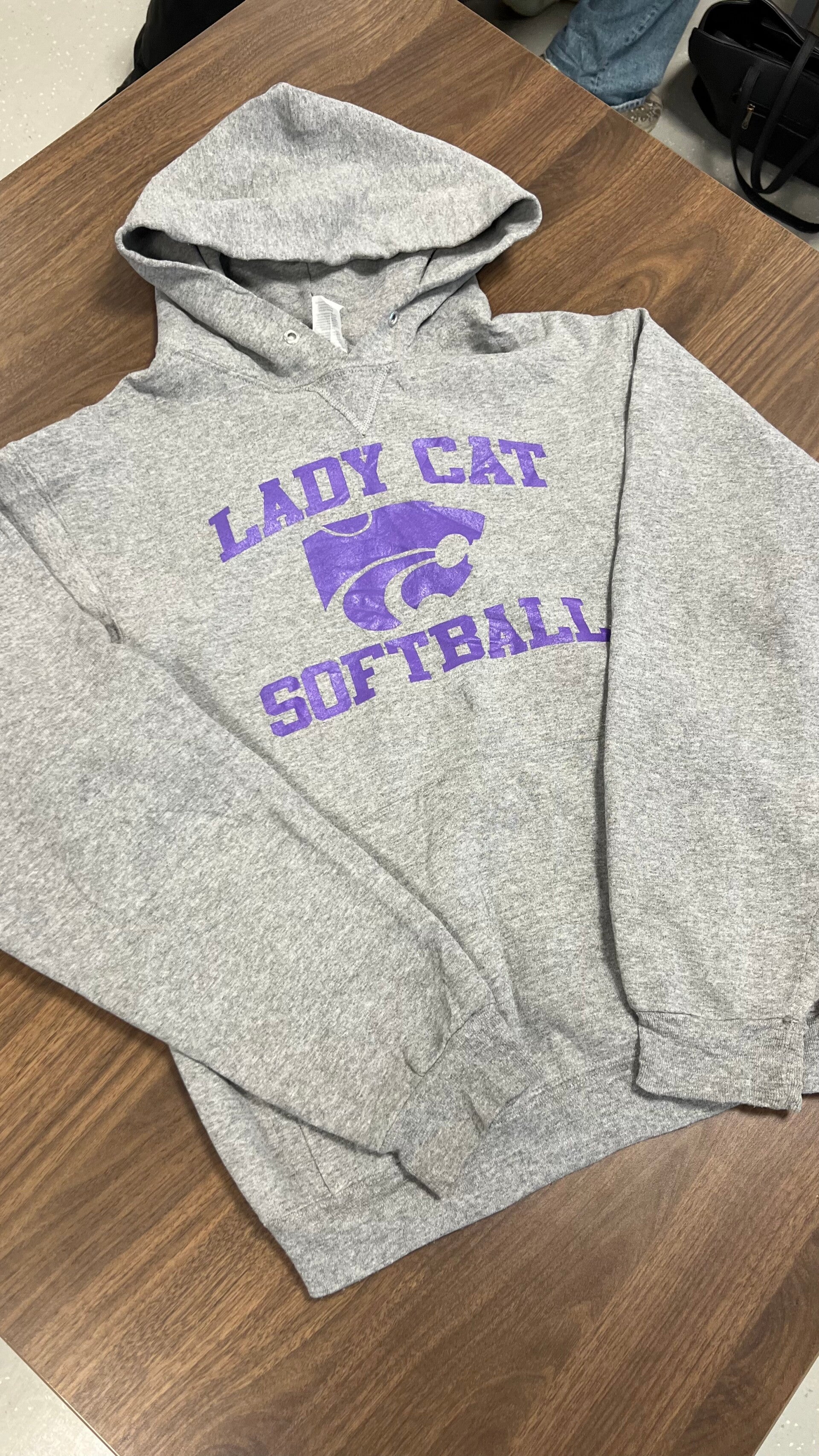 Lady Cat Softball Hoodie