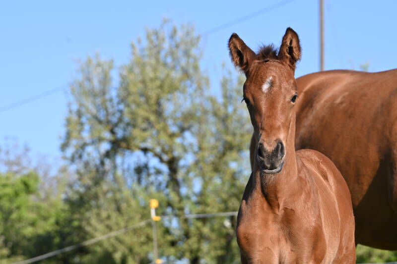 dsc_4713-standard.jpg