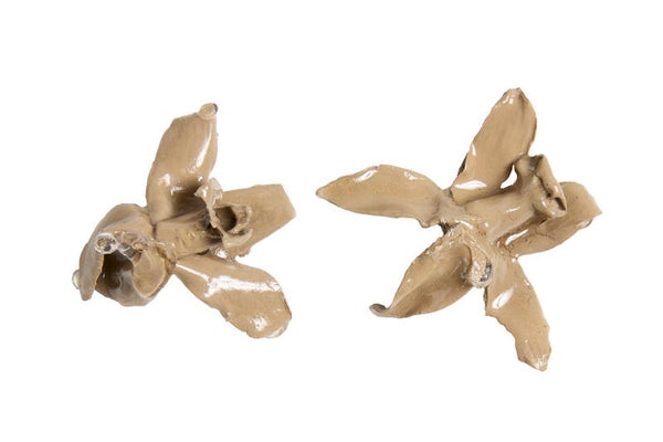 by Goldiie Organic Orchid Earrings