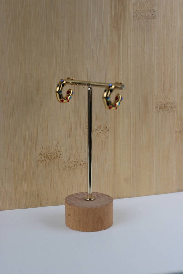 Oorbellen - Kleurrijke hoops
