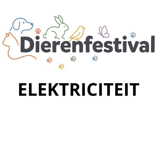 Gebruik elektriciteit