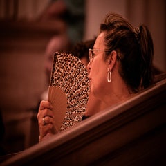dsc_8033-standard.jpg