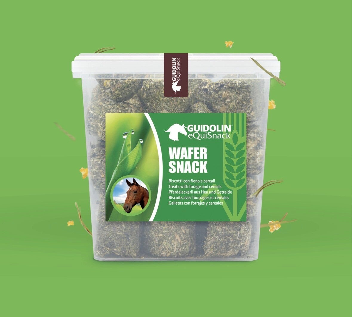 Koekjes met hooi en granen voor paarden 2,5kg | Made in Italy