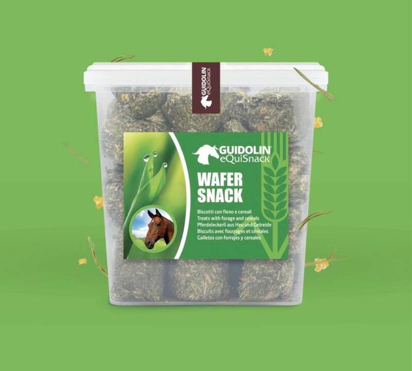 Koekjes met hooi en granen voor paarden 2,5kg | Made in Italy