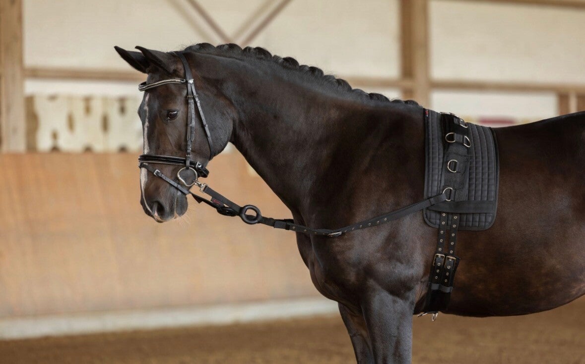 Bijzetteugel, zwart - grote pony