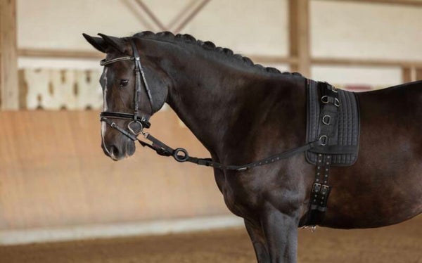 Bijzetteugel, zwart - grote pony