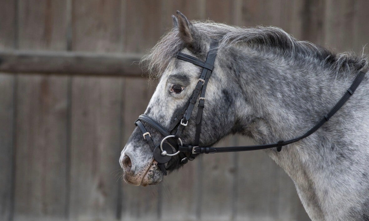 Bitschijven pony, zwart - 7 cm, 2 stuks verpakt
