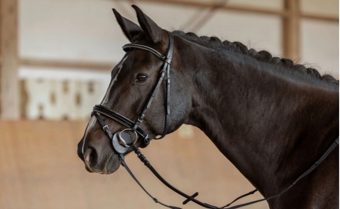 Bitschijven warmbloed, - zwart, 9 cm, 2 st. verpakt