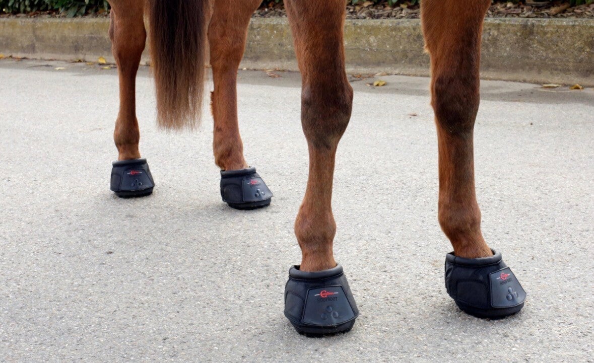 Covalliero Hoefschoen covalliero