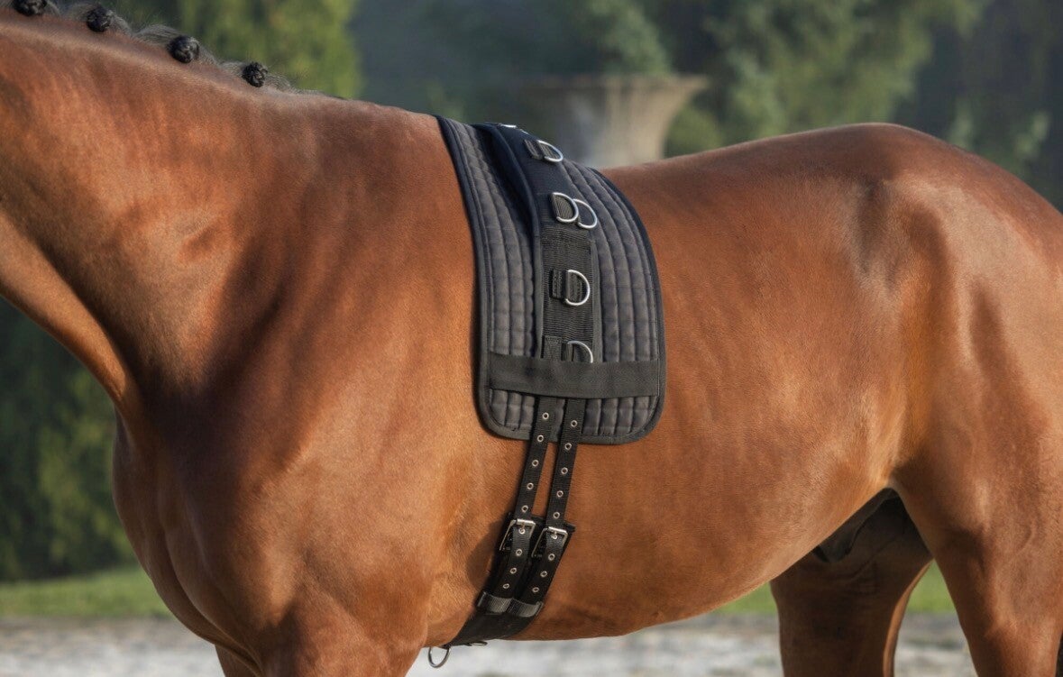 Longeerpadding zwart