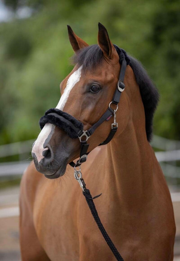 Halster classicsoft black