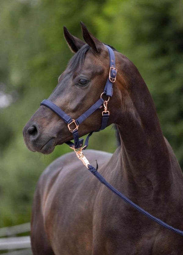Halster classy- navy