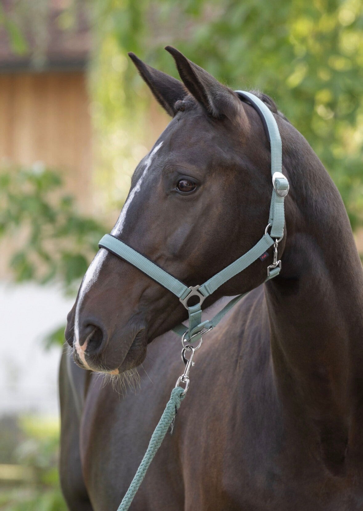 Halster doria, jade green