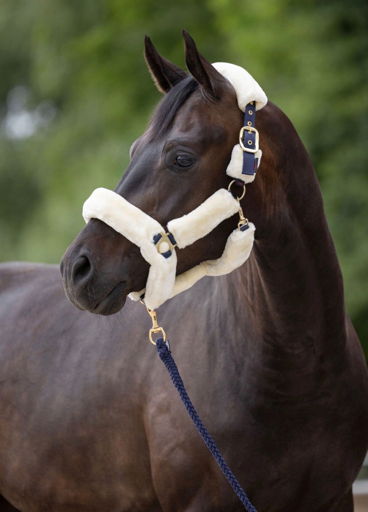 Halster supersoft navy