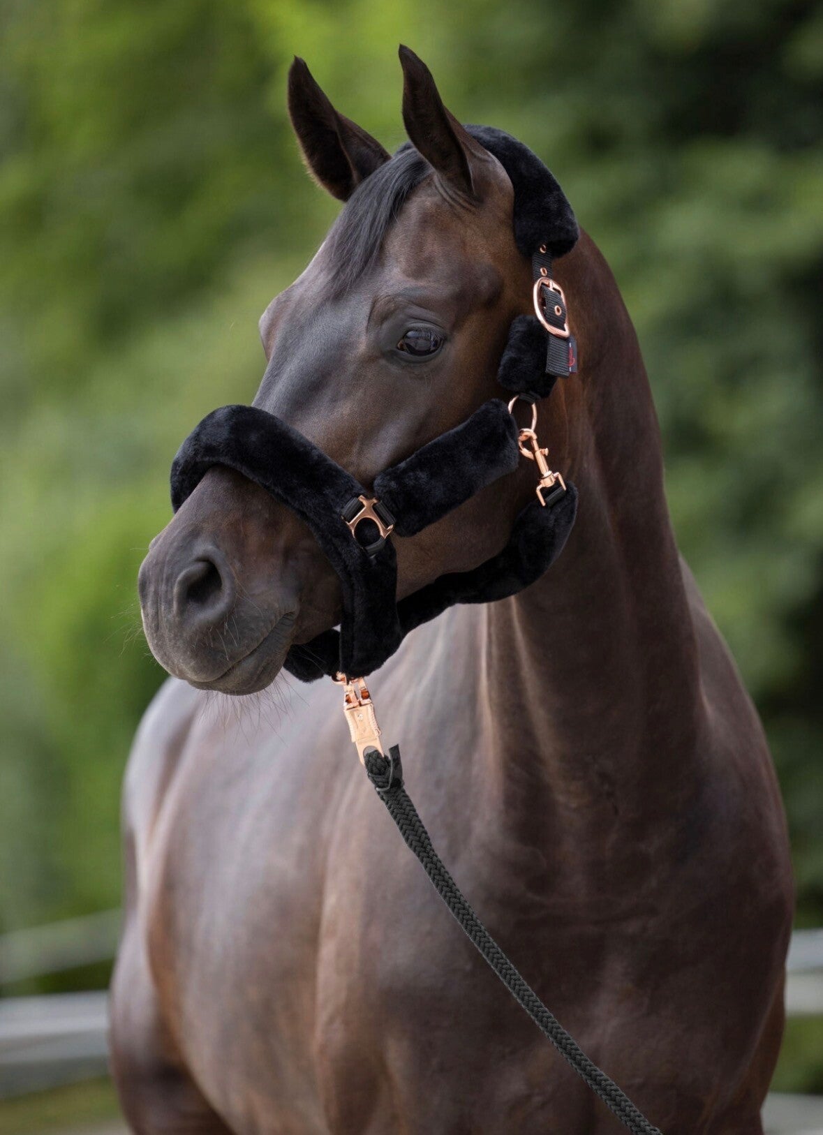 Halster supersoft Zwart