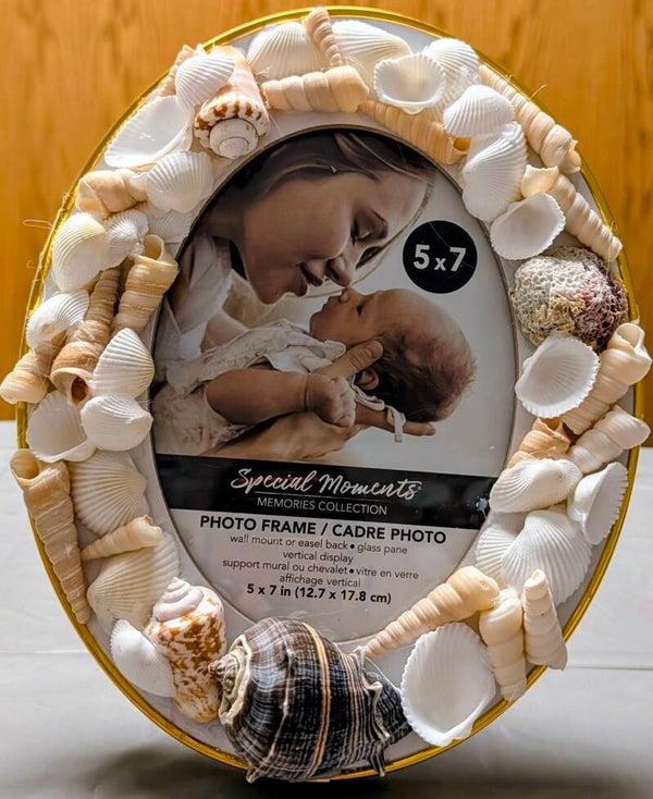 coastal oval seashell picture frame