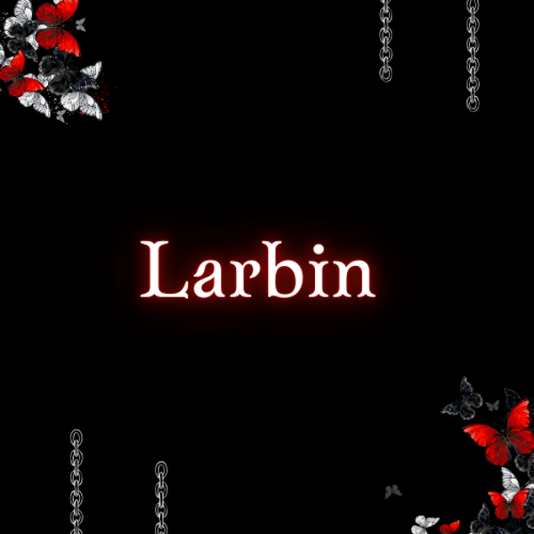 Larbin sur la journée