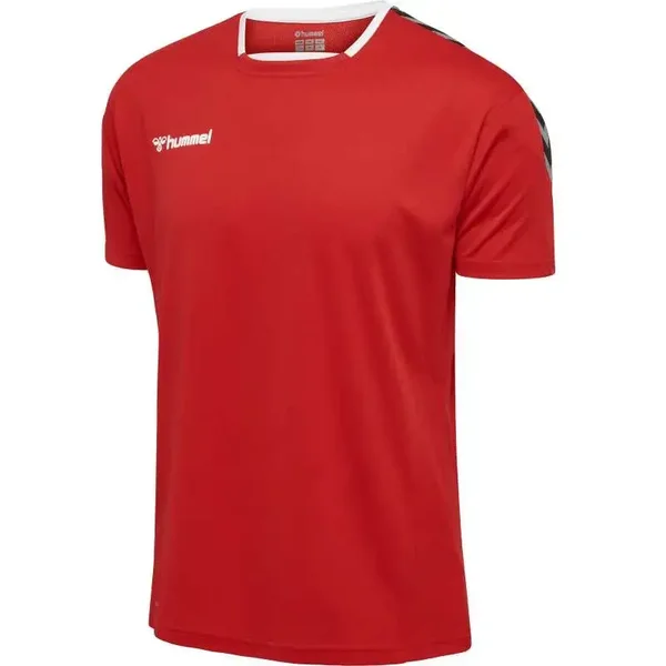 Hummel Authentic Kids Poly Jersey  (204920-3062)