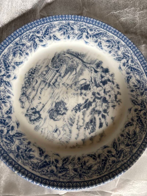 6 Saucers