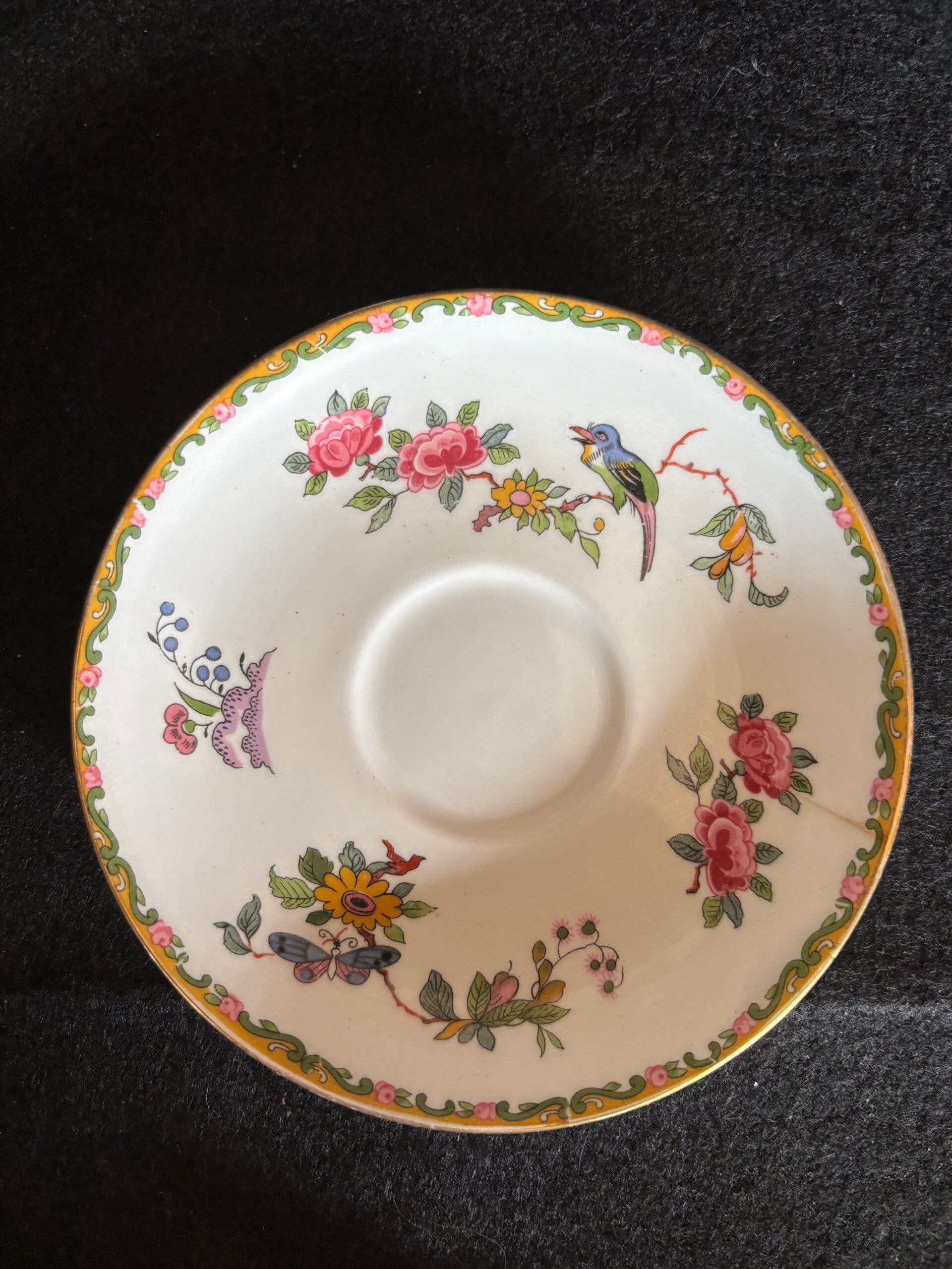 Saucer-Royal Grafton