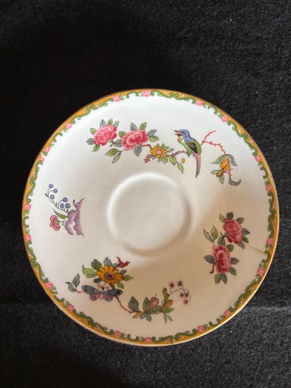 Saucer-Royal Grafton