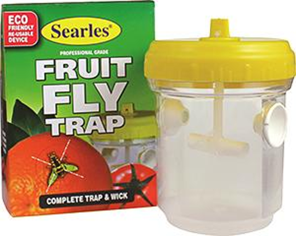 Fruit Fly Trap