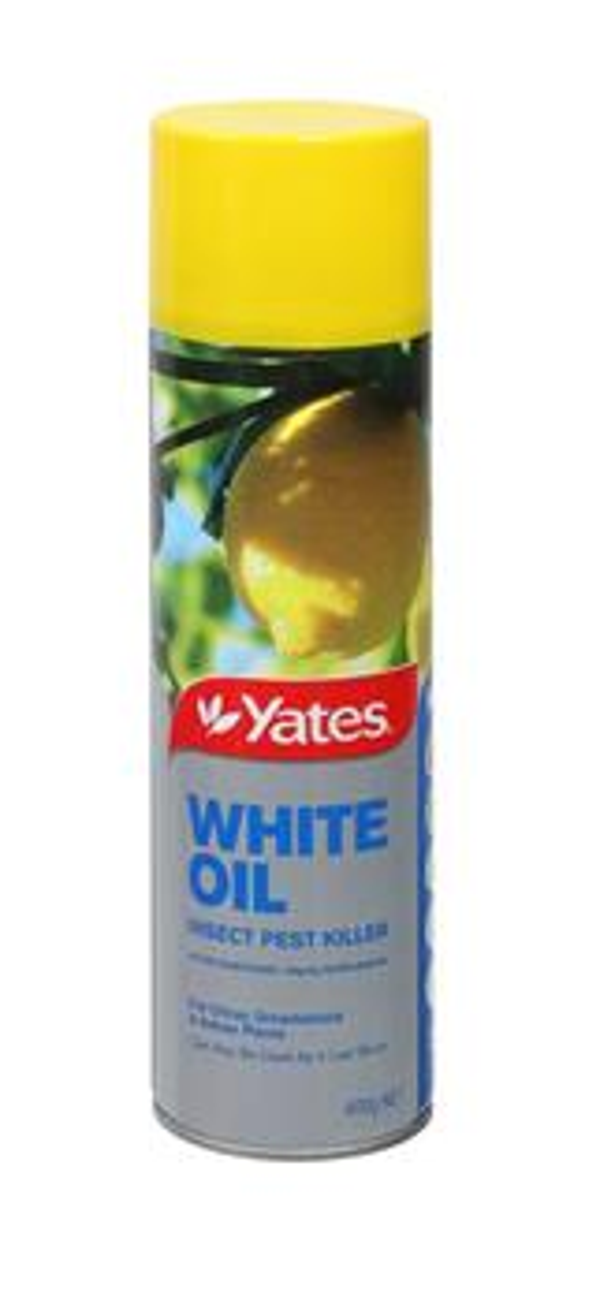 Yates White Oil