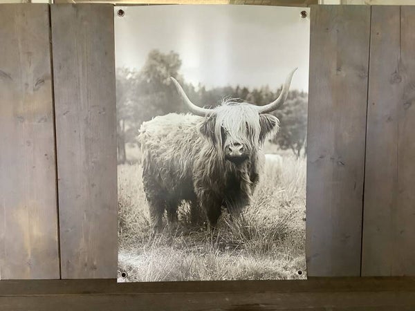 Tuinposter koe 2