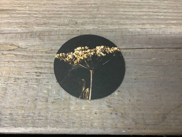 Magneet bereklauw groot