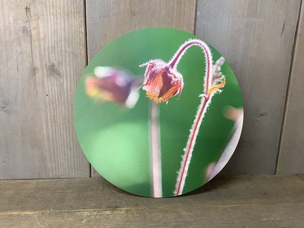 Muurcirkel groen met knop