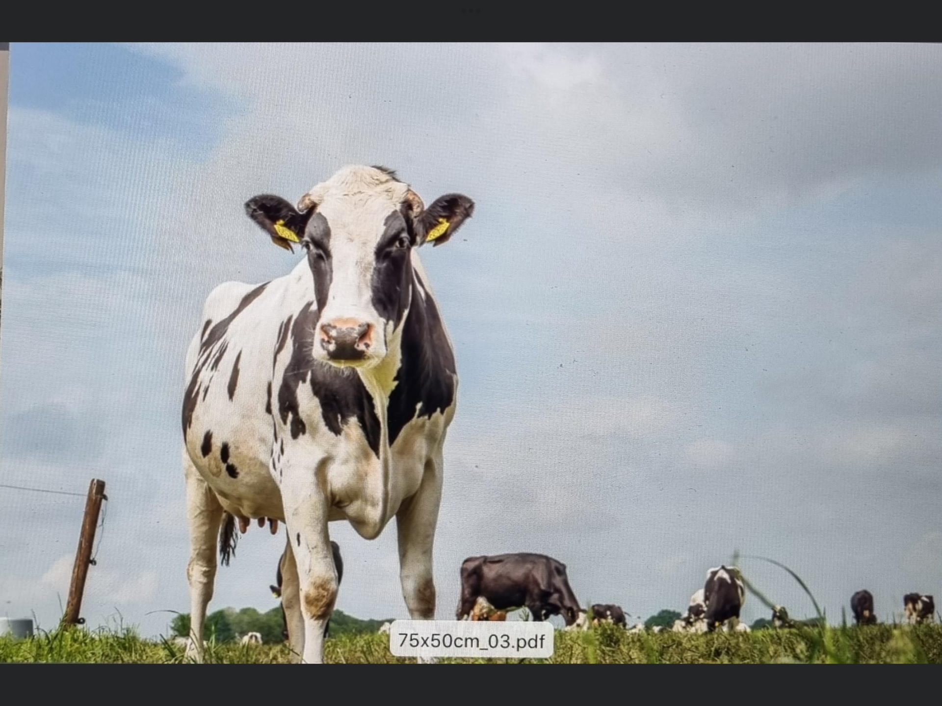 Beschermplaat kookplaat