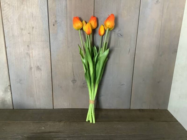 Tulpen classic narange