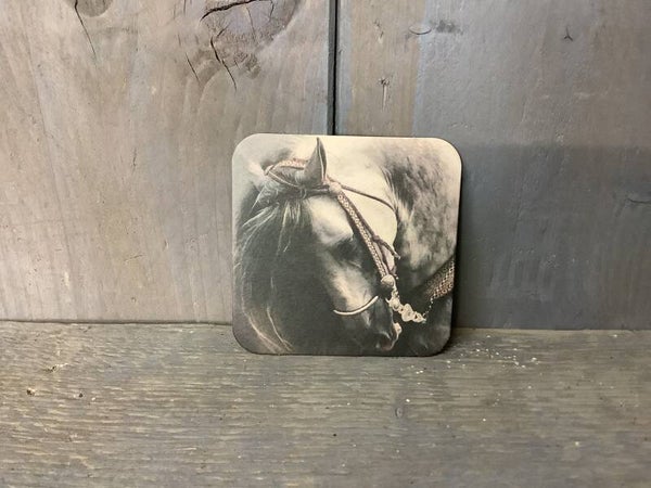 Onderzetters papier 20 stuks paard