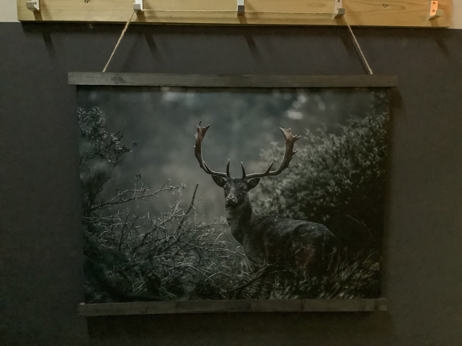 Wanddoek hert horizontaal