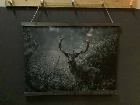 Wanddoek hert horizontaal