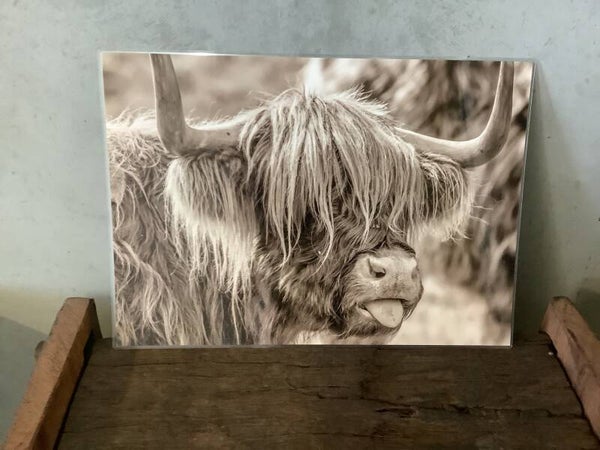 Placemat hooglander 2