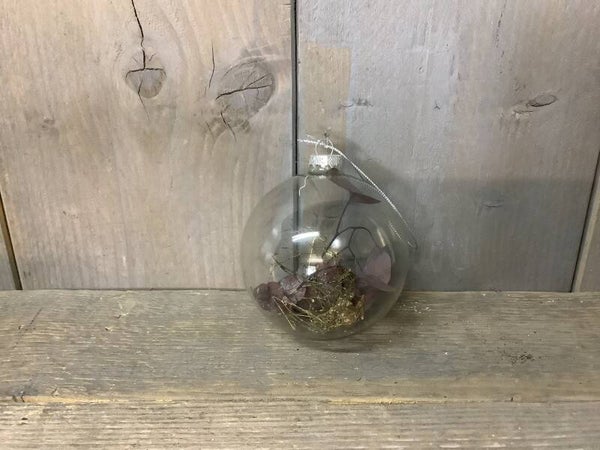 Glasbal met droogbloemen groot