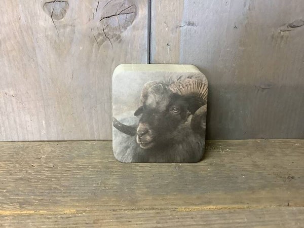 Onderzetters papier ram 20 stuks